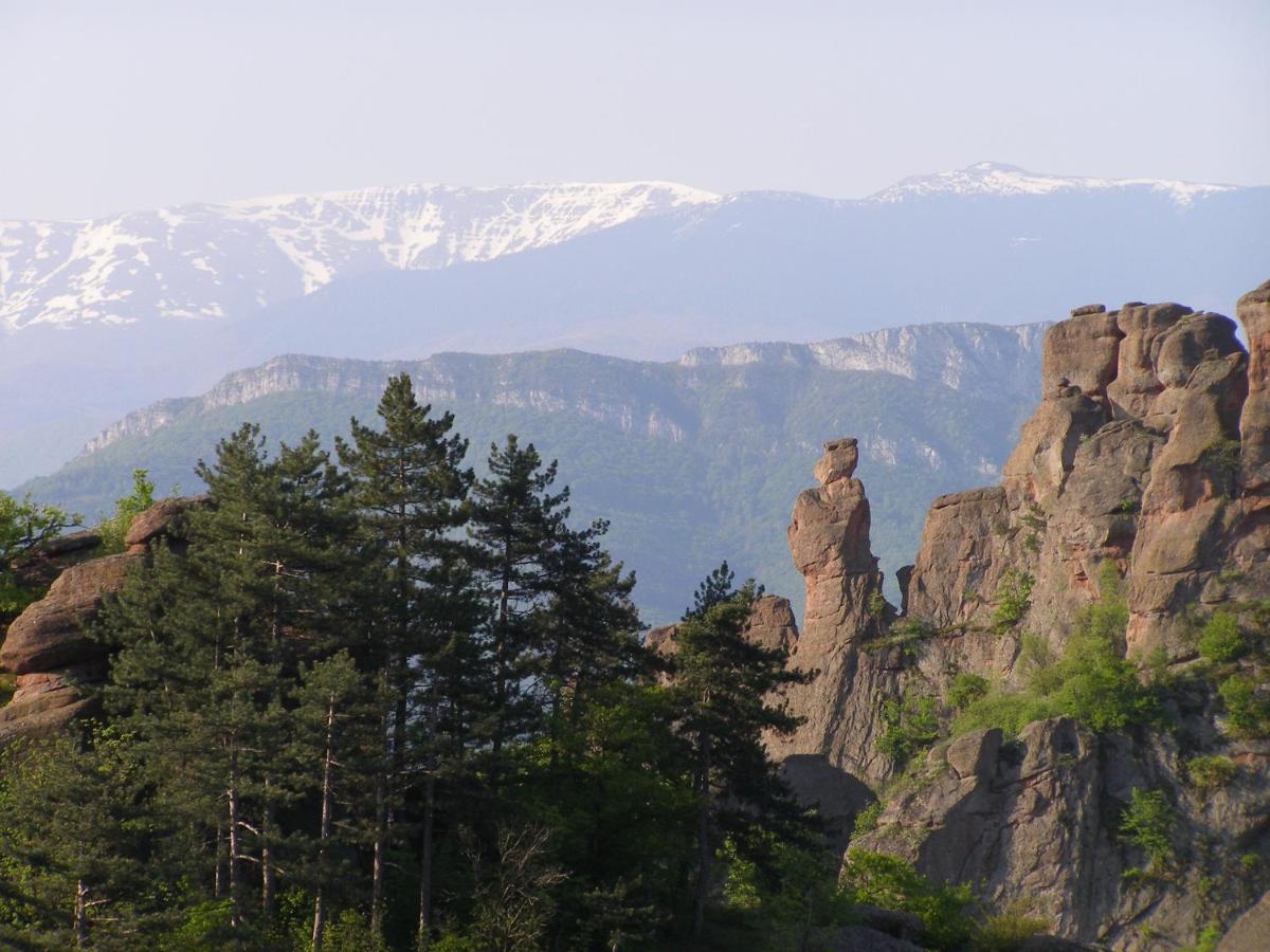 Belogradchik View Apartment Esterno foto